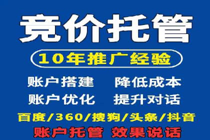 某企业通过百度SEM实现ROI最大化的案例